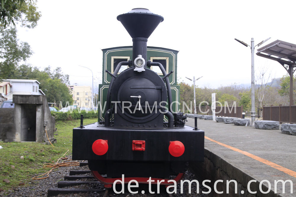 sightseeing trains green black colour